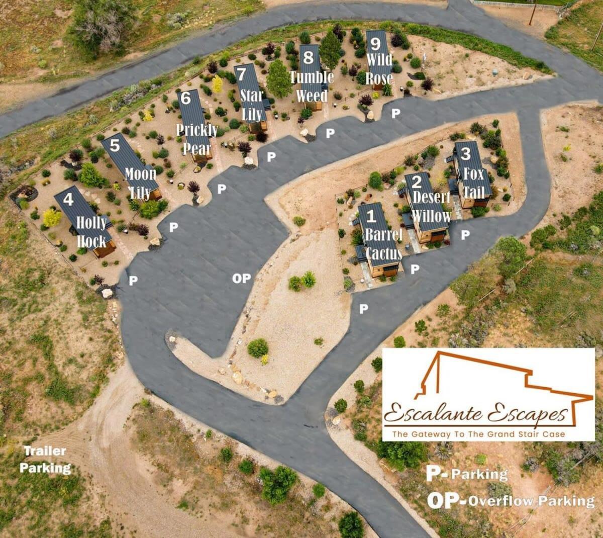 Escalante Escapes Desert Willow- Loft Escape Exterior photo